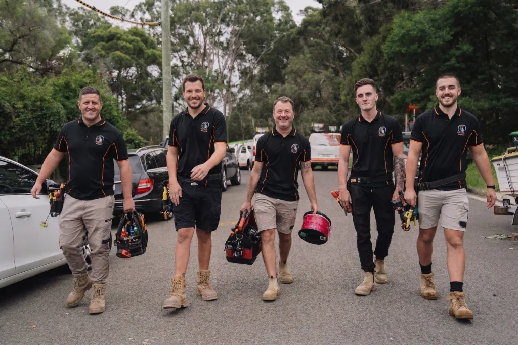 Professional electrical services in Drummoyne